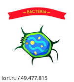Bacteria applique for biology or bacteriology material. Flat vector fancy tortoise microbe cartoon projection for medicine educational board poster.. Tortoise Bacteria or Microbe Depiction Isolated. Стоковая иллюстрация, агентство Ingram Publishing / Фотобанк Лори