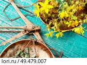 Flowering medicinal hypericum on medical scales.Medicinal herbs. Fesh yellow flowers Hypericum. Стоковое фото, агентство Ingram Publishing / Фотобанк Лори