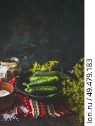 Close up of fresh cucumber in bowl with dill, herbs and spices for pickling and preserving on dark rustic kitchen table. Healthy fermented food concept. Harvest storing . Still life. Стоковое фото, агентство Ingram Publishing / Фотобанк Лори
