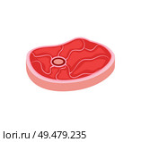 Meat pork slice with streaks and bone isolated icon vector. Raw flesh of pig meat, uncooked chopped ham . Ingredient of steak for barbeque and picnic. Meat Pork Slice with Streaks Vector Illustration. Стоковая иллюстрация, агентство Ingram Publishing / Фотобанк Лори