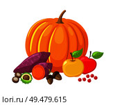 Pumpkin and beetroot, ripe lush apples and cranberries, fruits and veggies set vector. Chestnut and acorn, food and meal harvested in autumn season. Pumpkin and Beetroot Apples Fruits Veggies Vector. Стоковая иллюстрация, агентство Ingram Publishing / Фотобанк Лори