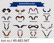 Horns horizontal transparent set with doodle style isolated images of animal horning with editable text captions vector illustration. Стоковая иллюстрация, агентство Ingram Publishing / Фотобанк Лори