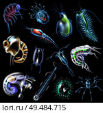 Plankton colored luminescent icons set in cartoon style on black background isolated vector illustration. Стоковая иллюстрация, агентство Ingram Publishing / Фотобанк Лори
