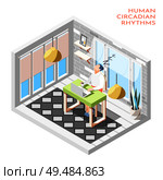 Human circadian rhythms isometric composition with isolated room and woman sleeping at the desk vector illustration. Стоковая иллюстрация, агентство Ingram Publishing / Фотобанк Лори