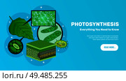 Photosynthesis basic information website horizontal banner design with green leaves cells chloroplasts chlorophyll structure background vector illustration. Стоковая иллюстрация, агентство Ingram Publishing / Фотобанк Лори
