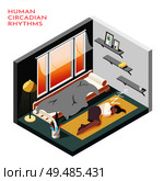 Human circadian rhythms isometric composition with room where business woman sleep on the floor vector illustration. Стоковая иллюстрация, агентство Ingram Publishing / Фотобанк Лори
