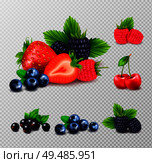 Berry fruit realistic set with clusters of ripe berries and green leaves images on transparent background vector illustration. Стоковая иллюстрация, агентство Ingram Publishing / Фотобанк Лори