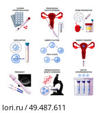 Isolated flat in vitro fertilization IVF icon set with fertilization pregnancy embryo culture transfer and other descriptions vector illustration. Стоковая иллюстрация, агентство Ingram Publishing / Фотобанк Лори