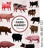 Farm market advertising poster with round frame and various pigs on light background vector illustration. Стоковая иллюстрация, агентство Ingram Publishing / Фотобанк Лори