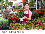 Middle-aged saleswoman holding dipladenia in flower-pot in open-air plants market. Стоковое фото, фотограф Яков Филимонов / Фотобанк Лори