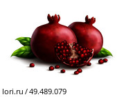 Two fresh ripe whole pomegranates with quarter part and strewn seeds appetizing closeup realistic composition vector illustration. Стоковая иллюстрация, агентство Ingram Publishing / Фотобанк Лори