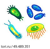 Bacteria set of different germs with lines and scores. Microorganisms causing infection and sickness to human life. Microbiology creatures vector. Bacteria Set Different Germs Vector Illustration. Стоковая иллюстрация, агентство Ingram Publishing / Фотобанк Лори