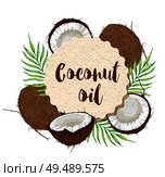 Round paper label with coconuts and green palm leaves on a white background. Vector illustration. Стоковая иллюстрация, агентство Ingram Publishing / Фотобанк Лори