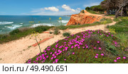 Spring coastline in Albufeira, Algarve, Portugal (2013 год). Стоковое фото, фотограф Аnna Ivanova / Фотобанк Лори