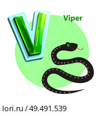 Viper spitting cartoon character representing V english consonant for children alphabet. Vector winding snake isolated to learn and memorize rudiments. Viper is for V Letter in English Alphabet for Kids. Стоковая иллюстрация, агентство Ingram Publishing / Фотобанк Лори