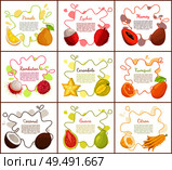 Pomelo and lychee, mango tropical fruit slices and carambola star. Posters set with text sample, coconut and citron, rambutan and papaya food vector. Pomelo and Lychee Mango Set Vector Illustration. Стоковая иллюстрация, агентство Ingram Publishing / Фотобанк Лори