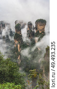 Incredible misty mountain landscape. High cliffs, pillars shrouded in fog, peaks in clouds. Green vegetation on the slopes and in the foreground. China. Zhangjiajie National Forest Park. Avatar. Стоковое фото, фотограф Вера Ивановна Кубарева / Фотобанк Лори