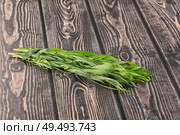 Fresh green estragon aroma stem. Стоковое фото, фотограф Андрей Старостин / Фотобанк Лори