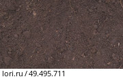 Fertile soil close-up. Richland in field. Black soil background. Natural ecological farming. Agricultural business. Humus, fertilized land. Bio agriculture and eco friendly cultivation. Rich land 4K. Стоковое видео, видеограф Марина Демидюк / Фотобанк Лори