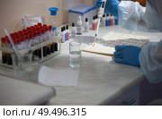 Belarus, Comely, 24 April 2018. Blood transfusion station.Microbiological examination of blood. Стоковое фото, фотограф Лазаренко Светлана / Фотобанк Лори