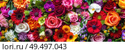A cluster of vibrant flowers arranged on a wall, creating a striking display of nature indoors. Стоковое AI-изображение, AI-художник Данила Большаков / Фотобанк Лори