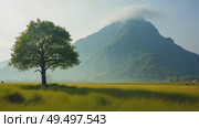 A lone tree stands in a summer landscape, with a mist-shrouded mountain in the background. Strong stormy wind moving clouds of fog. Стоковое AI-видео, аниматор Sergey Grishin / Фотобанк Лори
