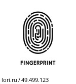 Fingerprint unique finger pattern poster with text vector. Thumbprint and dactylogram, authentication authorization of personality, personal data. Fingerprint Unique Finger Pattern Poster Vector. Стоковая иллюстрация, агентство Ingram Publishing / Фотобанк Лори