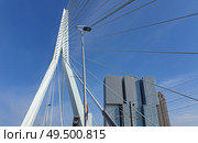 Erasmus bridge (The Swan) over Meuse river in Rotterdam, the Netherlands. Abstract architecture details over blue sky background. . Стоковое фото, агентство Ingram Publishing / Фотобанк Лори
