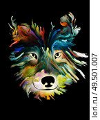 Pet portrait in bright colors on black background on subject of love, friendship, faithfulness, companionship between dog and man. God bless animals series. Стоковое фото, агентство Ingram Publishing / Фотобанк Лори