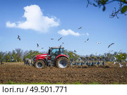 Seagulls flying over a rural field with a red tractor ploughing the soil. Стоковое фото, агентство Ingram Publishing / Фотобанк Лори