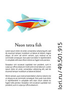 Neon tetra fish isolated on white. Freshwater aquarium pet silhouette hand drawn graphic icon on blank background cartoon style vector illustration. Neon Tetra Aquarium Fish Isolated on White Graphic. Стоковая иллюстрация, агентство Ingram Publishing / Фотобанк Лори