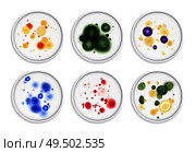 Mold fungus bacteria colony spots realistic set with round images of different moldiness lifeforms in colour vector illustration. Стоковая иллюстрация, агентство Ingram Publishing / Фотобанк Лори