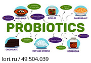 Probiotics and health concept with food and bacteria symbols flat vector illustration. Стоковая иллюстрация, агентство Ingram Publishing / Фотобанк Лори