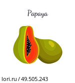 Papaya exotic fruit whole and cut vector isolated. Papaw or pawpaw Carica plant. Tropical food, similar to pear, dieting vegetarian grocery icon. Papaya Exotic Fruit Vector Isolated. Papaw Pawpaw. Стоковая иллюстрация, агентство Ingram Publishing / Фотобанк Лори
