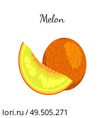 Melon exotic juicy stone fruit whole and cut vector isolated. Tropical sweet edible, fleshy food, dieting vegetarian icon, yellow sweet dessert plant. Melon Exotic Juicy Stone Fruit Vector Isolated. Стоковая иллюстрация, агентство Ingram Publishing / Фотобанк Лори