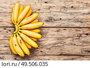 Bananas on an old wooden table.A bunch of ripe bananas.. Bunch of ripe yellow bananas. Стоковое фото, агентство Ingram Publishing / Фотобанк Лори