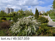 Cityscape with landscape park in Zelenograd Moscow, Russia. Стоковое фото, фотограф Володина Ольга / Фотобанк Лори