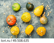 Big set of pumpkins.Autumn symbol.Mini pumpkin. Set autumn pumpkins. Стоковое фото, агентство Ingram Publishing / Фотобанк Лори