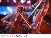cello at a concert. Стоковое фото, агентство Ingram Publishing / Фотобанк Лори