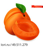 Apricot vectorized image. Fresh fruit. 3d realistic vector icon. Стоковая иллюстрация, агентство Ingram Publishing / Фотобанк Лори
