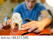 portrait of man installing string instrument bridge. Стоковое фото, агентство Ingram Publishing / Фотобанк Лори