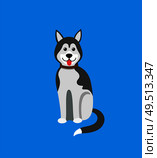 Dog Siberian husky, doggish animal mammal pet vector. Purebred domesticated canine, canis lupus familiaris, drawing of hound with fur sticking tongue. Dog Siberian Husky, Doggish Animal Mammal Pet. Стоковая иллюстрация, агентство Ingram Publishing / Фотобанк Лори