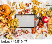 Blank letter board styled with autumn arrangement:  fall leaves, pumpkins,  cup of cappuccino, burning candles, apples and rowan. Top view. Frame. Insta style. Cozy autumn composition. Flat lay. Стоковое фото, агентство Ingram Publishing / Фотобанк Лори