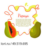Papaya exotic fruit vector poster frame and place for text. Papaw or pawpaw Carica plant. Tropical food, similar to pear, dieting vegetarian grocery ??????. Papaya Exotic Fruit Vector Isolated Papaw Poster. Стоковая иллюстрация, агентство Ingram Publishing / Фотобанк Лори