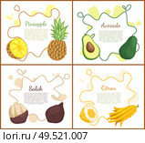 Pineapple and avocado set of posters with text. Salak and yellow ripe citron, tropical products and desserts. Healthy meal, fresh food eating vector. Pineapple and Avocado Set Vector Illustration. Стоковая иллюстрация, агентство Ingram Publishing / Фотобанк Лори