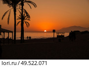 Palm Trees Silhouette At Sunset in the beach. Malaga, Andalusia, Spain.. Palm Trees Silhouette At Sunset in the beach. Стоковое фото, агентство Ingram Publishing / Фотобанк Лори