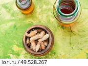 Healing tincture from pine kidneys.Medicinal tincture for colds.Natural cure. Bottles of tincture of pine buds. Стоковое фото, агентство Ingram Publishing / Фотобанк Лори