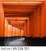 vermillion Torii path at Fushimi Inari Taisha Shrine in Kyoto, Japan. Torii path at Fushimi Inari Taisha Shrine in Kyoto, Japan. Стоковое фото, агентство Ingram Publishing / Фотобанк Лори
