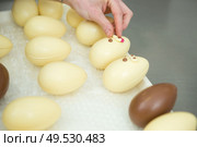 portrait of confectioner decorating chocolate eggs. Стоковое фото, агентство Ingram Publishing / Фотобанк Лори