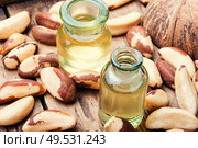 Gourmet peeled Brazil nut and jars of oil.. Brazil nut or Bertholletia. Стоковое фото, агентство Ingram Publishing / Фотобанк Лори